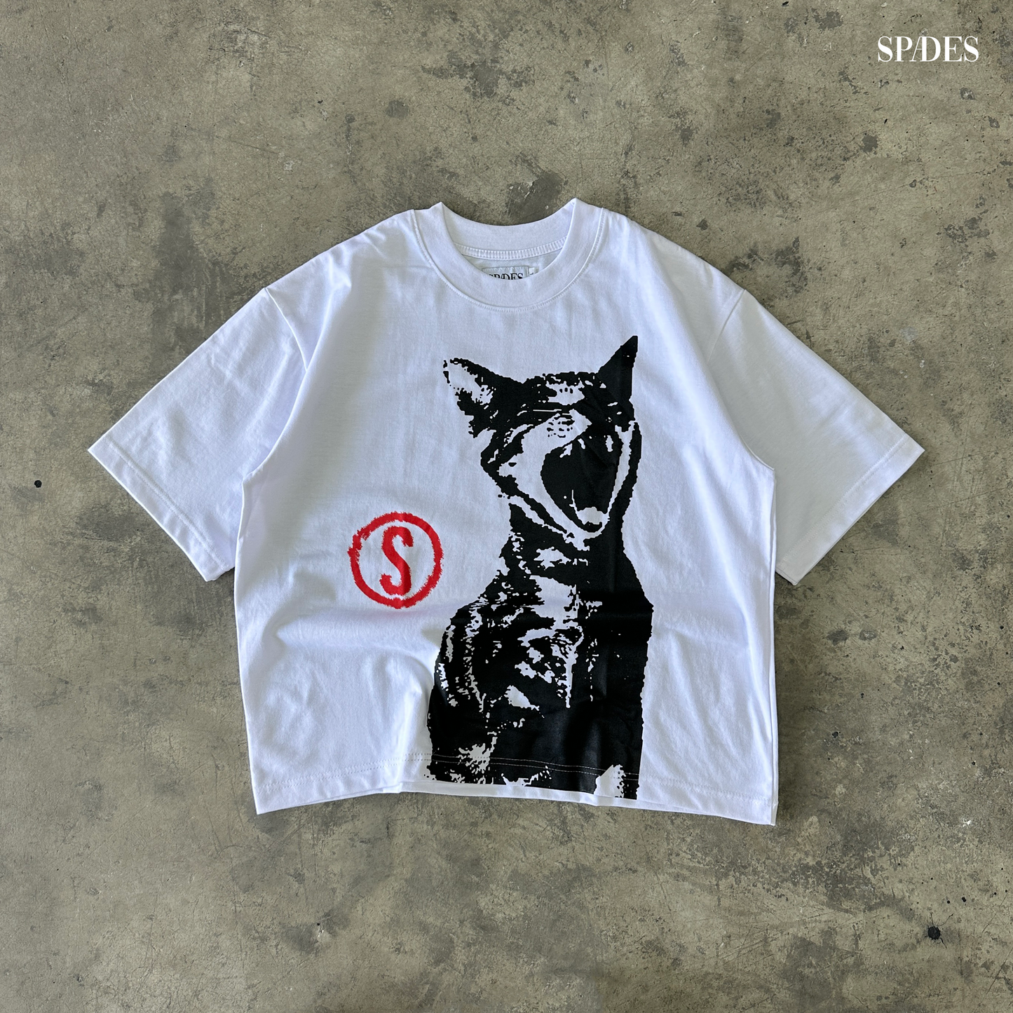 Mark of the Stray Box Tee  Crop White