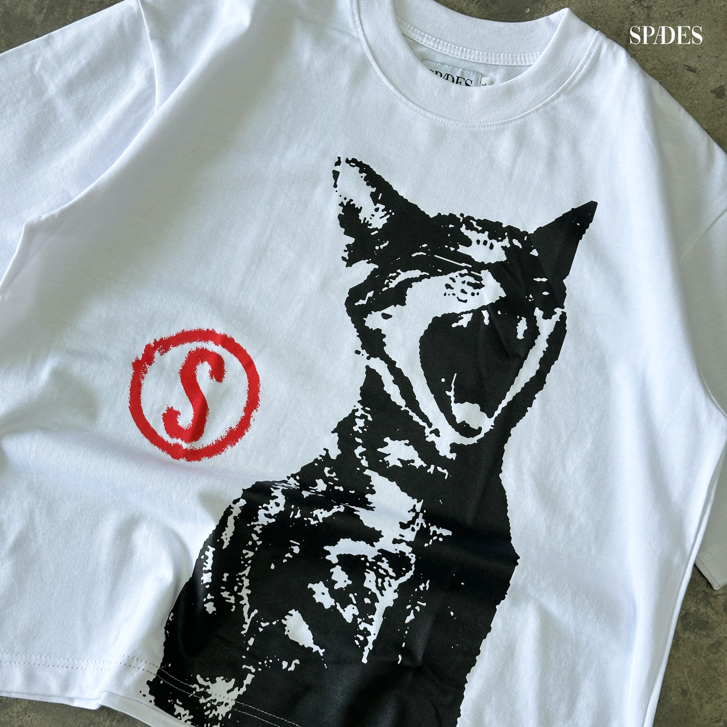 Mark of the Stray Box Tee  Crop White